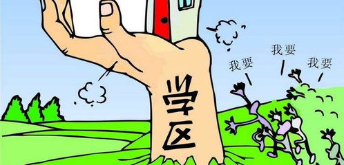 雙贏之道 學區房與教育投資的前景與策略
